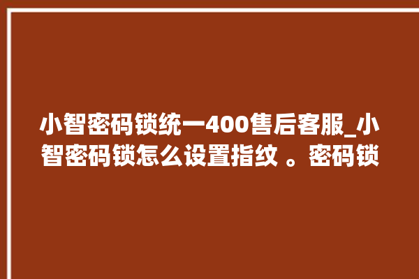 小智密码锁统一400售后客服_小智密码锁怎么设置指纹 。密码锁