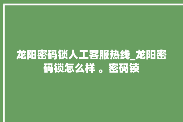 龙阳密码锁人工客服热线_龙阳密码锁怎么样 。密码锁