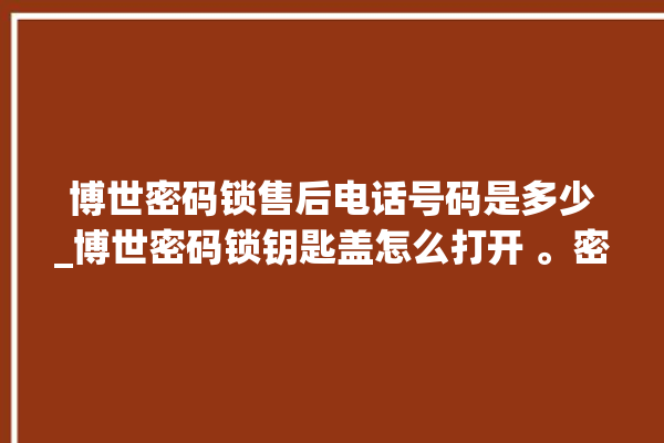 博世密码锁售后电话号码是多少_博世密码锁钥匙盖怎么打开 。密码锁