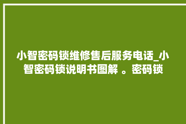 小智密码锁维修售后服务电话_小智密码锁说明书图解 。密码锁