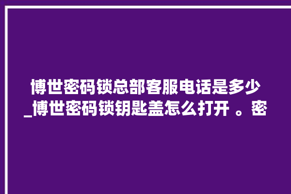 博世密码锁总部客服电话是多少_博世密码锁钥匙盖怎么打开 。密码锁