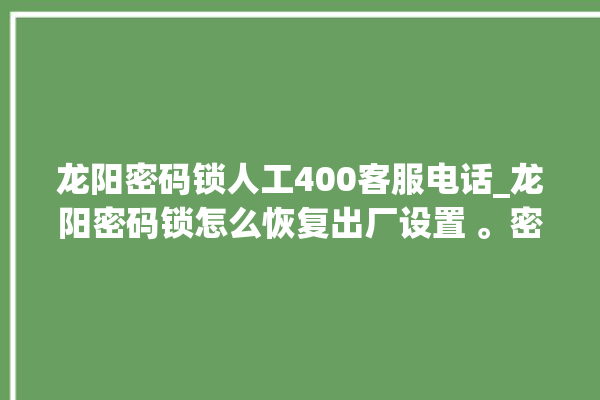 龙阳密码锁人工400客服电话_龙阳密码锁怎么恢复出厂设置 。密码锁