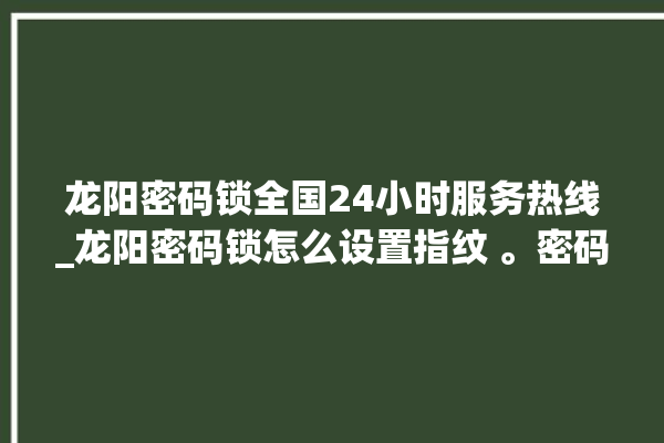 龙阳密码锁全国24小时服务热线_龙阳密码锁怎么设置指纹 。密码锁