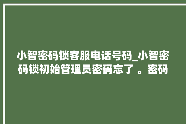 小智密码锁客服电话号码_小智密码锁初始管理员密码忘了 。密码锁