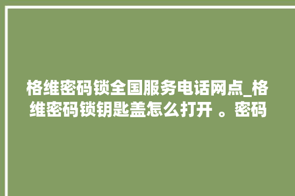 格维密码锁全国服务电话网点_格维密码锁钥匙盖怎么打开 。密码锁