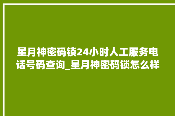 星月神密码锁24小时人工服务电话号码查询_星月神密码锁怎么样 。神密