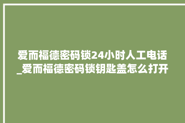 爱而福德密码锁24小时人工电话_爱而福德密码锁钥匙盖怎么打开 。密码锁