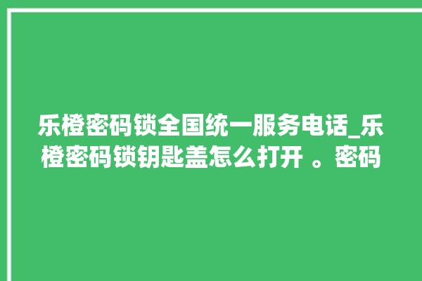 乐橙密码锁全国统一服务电话_乐橙密码锁钥匙盖怎么打开 。密码锁