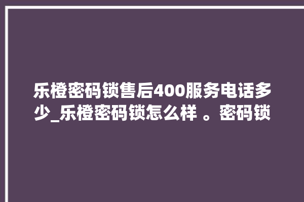 乐橙密码锁售后400服务电话多少_乐橙密码锁怎么样 。密码锁