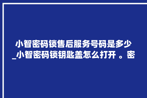 小智密码锁售后服务号码是多少_小智密码锁钥匙盖怎么打开 。密码锁