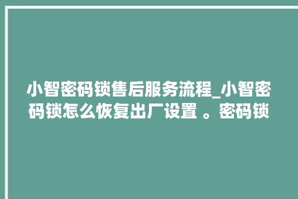 小智密码锁售后服务流程_小智密码锁怎么恢复出厂设置 。密码锁