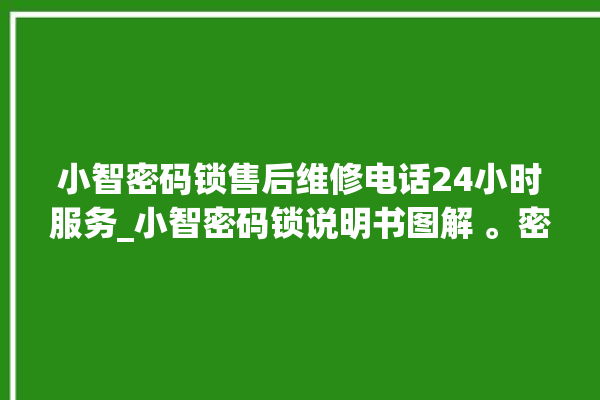 小智密码锁售后维修电话24小时服务_小智密码锁说明书图解 。密码锁