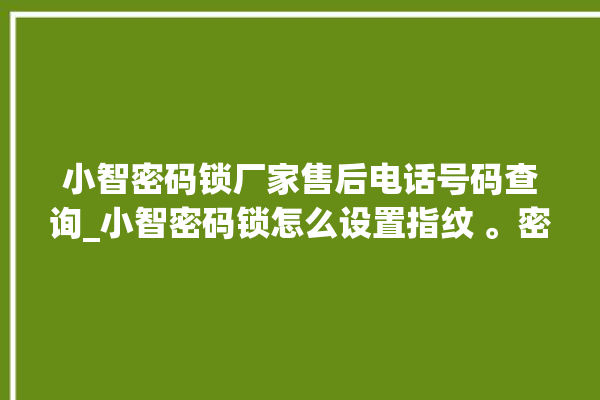 小智密码锁厂家售后电话号码查询_小智密码锁怎么设置指纹 。密码锁