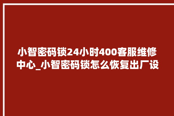 小智密码锁24小时400客服维修中心_小智密码锁怎么恢复出厂设置 。密码锁