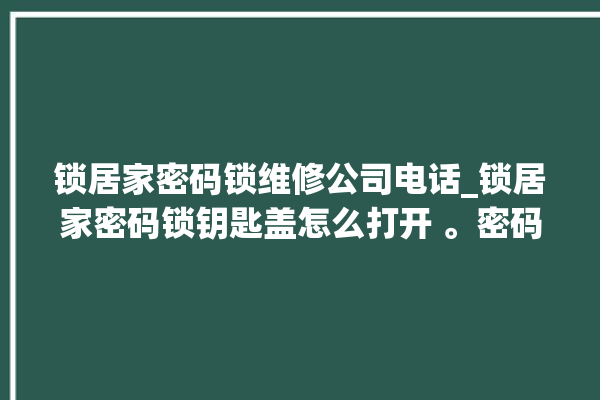 锁居家密码锁维修公司电话_锁居家密码锁钥匙盖怎么打开 。密码锁