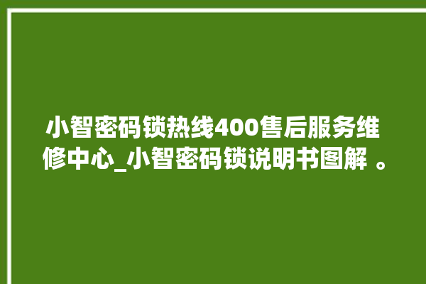 小智密码锁热线400售后服务维修中心_小智密码锁说明书图解 。密码锁