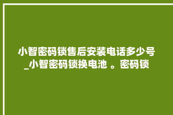 小智密码锁售后安装电话多少号_小智密码锁换电池 。密码锁