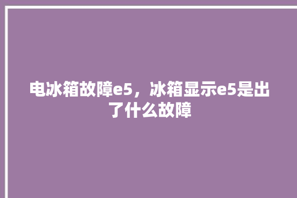 电冰箱故障e5，冰箱显示e5是出了什么故障