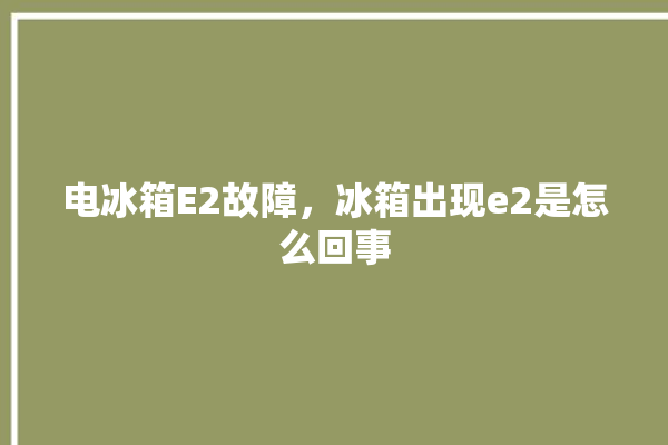 电冰箱E2故障，冰箱出现e2是怎么回事