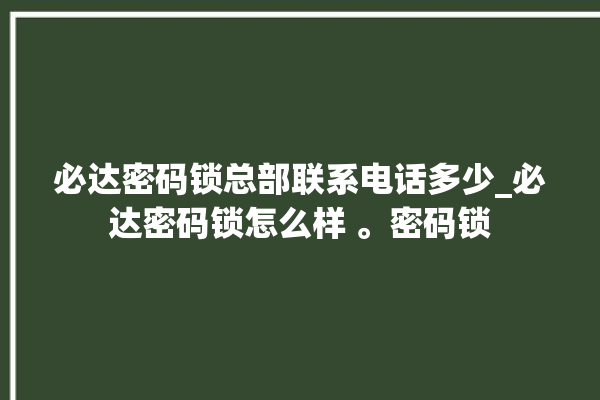 必达密码锁总部联系电话多少_必达密码锁怎么样 。密码锁