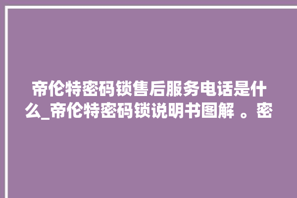 帝伦特密码锁售后服务电话是什么_帝伦特密码锁说明书图解 。密码锁