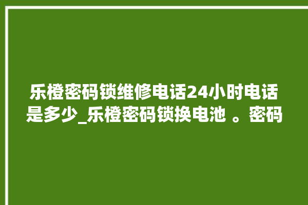 乐橙密码锁维修电话24小时电话是多少_乐橙密码锁换电池 。密码锁