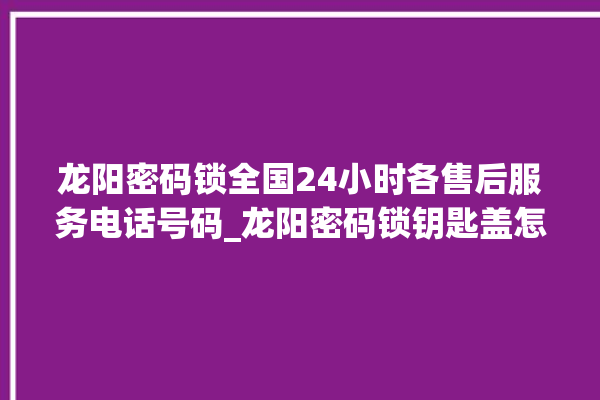 龙阳密码锁全国24小时各售后服务电话号码_龙阳密码锁钥匙盖怎么打开 。密码锁