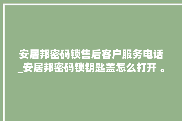 安居邦密码锁售后客户服务电话_安居邦密码锁钥匙盖怎么打开 。密码锁