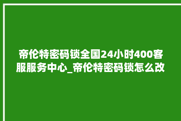 帝伦特密码锁全国24小时400客服服务中心_帝伦特密码锁怎么改密码 。密码锁