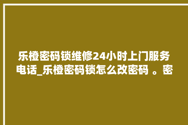 乐橙密码锁维修24小时上门服务电话_乐橙密码锁怎么改密码 。密码锁