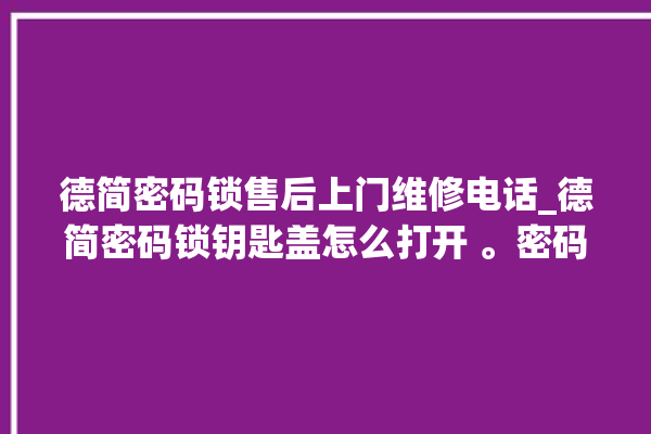 德简密码锁售后上门维修电话_德简密码锁钥匙盖怎么打开 。密码锁