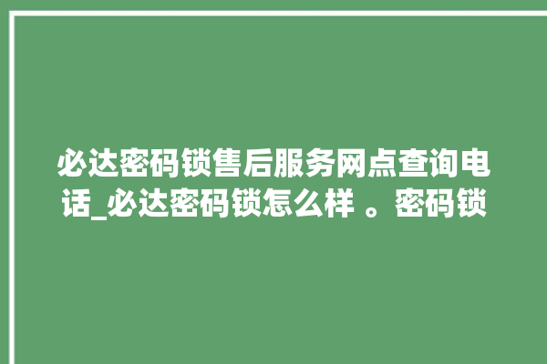 必达密码锁售后服务网点查询电话_必达密码锁怎么样 。密码锁