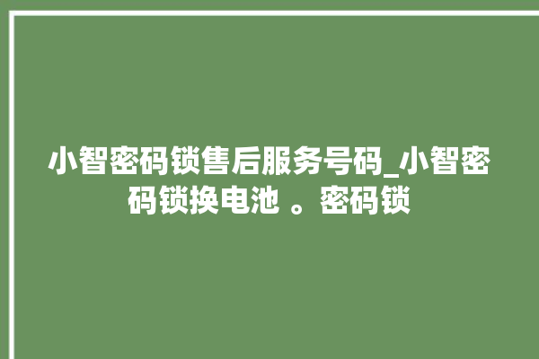 小智密码锁售后服务号码_小智密码锁换电池 。密码锁