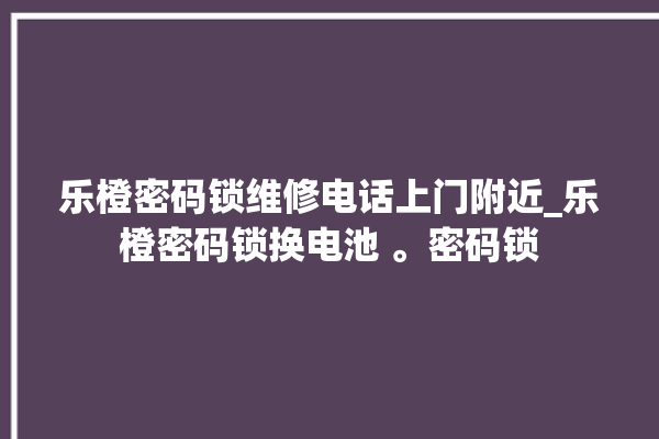 乐橙密码锁维修电话上门附近_乐橙密码锁换电池 。密码锁