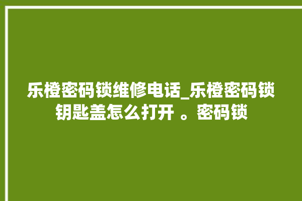 乐橙密码锁维修电话_乐橙密码锁钥匙盖怎么打开 。密码锁