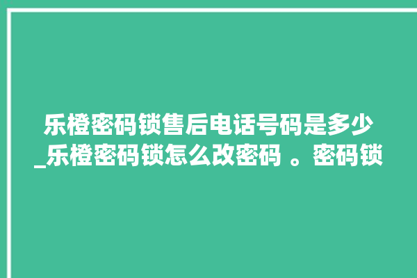 乐橙密码锁售后电话号码是多少_乐橙密码锁怎么改密码 。密码锁