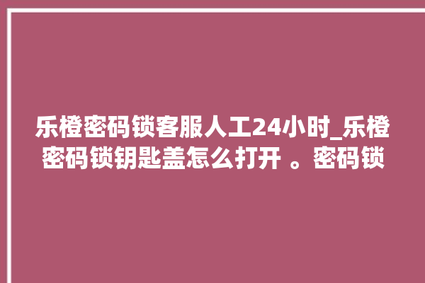 乐橙密码锁客服人工24小时_乐橙密码锁钥匙盖怎么打开 。密码锁