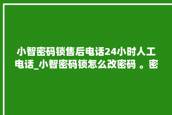 小智密码锁售后电话24小时人工电话_小智密码锁怎么改密码 。密码锁