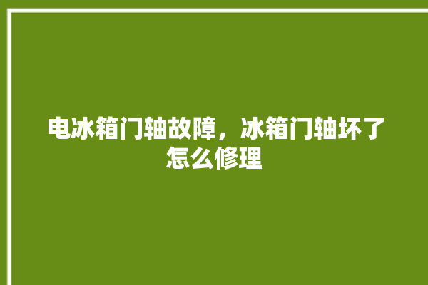 电冰箱门轴故障，冰箱门轴坏了怎么修理