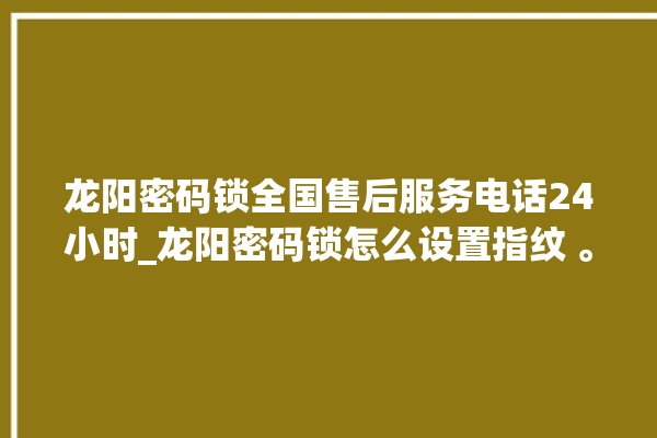 龙阳密码锁全国售后服务电话24小时_龙阳密码锁怎么设置指纹 。密码锁