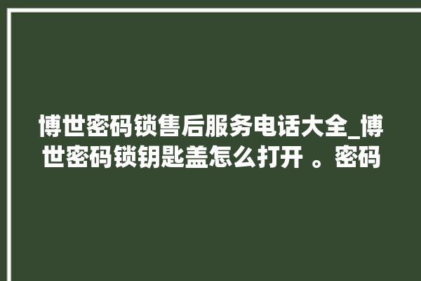 博世密码锁售后服务电话大全_博世密码锁钥匙盖怎么打开 。密码锁