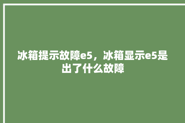 冰箱提示故障e5，冰箱显示e5是出了什么故障