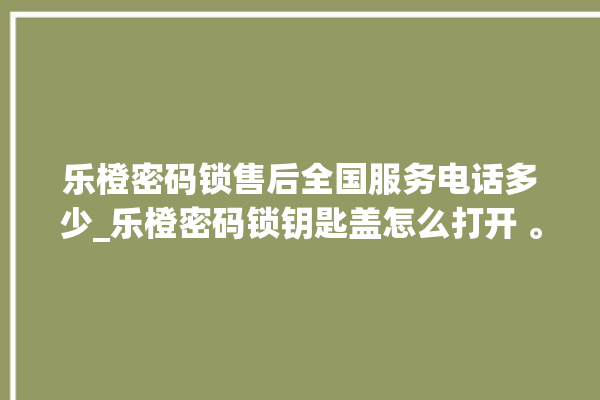 乐橙密码锁售后全国服务电话多少_乐橙密码锁钥匙盖怎么打开 。密码锁