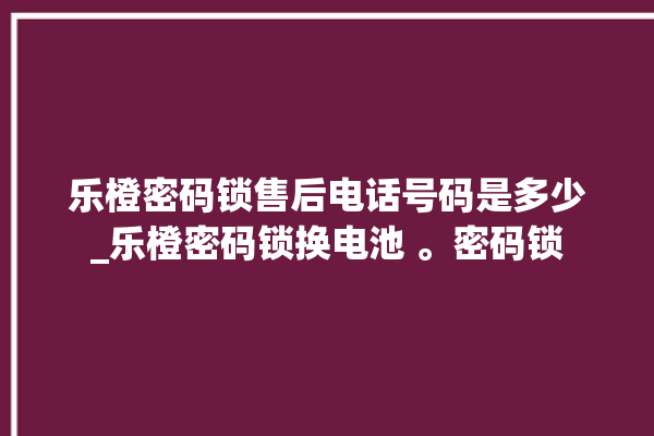 乐橙密码锁售后电话号码是多少_乐橙密码锁换电池 。密码锁