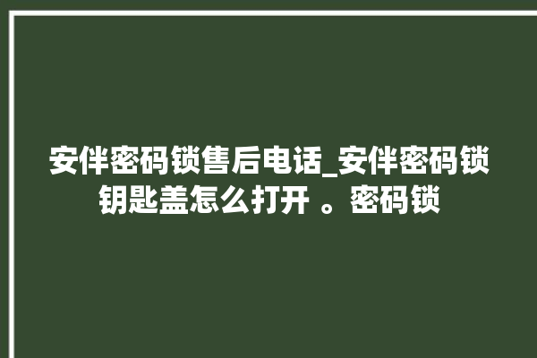 安伴密码锁售后电话_安伴密码锁钥匙盖怎么打开 。密码锁