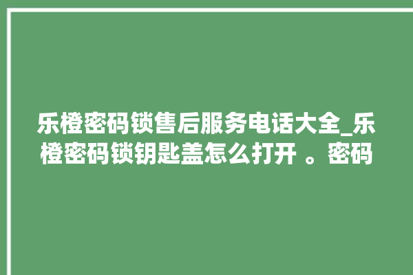 乐橙密码锁售后服务电话大全_乐橙密码锁钥匙盖怎么打开 。密码锁