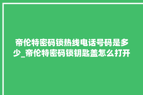 帝伦特密码锁热线电话号码是多少_帝伦特密码锁钥匙盖怎么打开 。密码锁