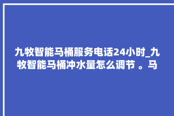 九牧智能马桶服务电话24小时_九牧智能马桶冲水量怎么调节 。马桶