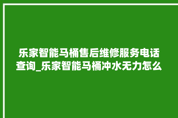 乐家智能马桶售后维修服务电话查询_乐家智能马桶冲水无力怎么解决 。马桶