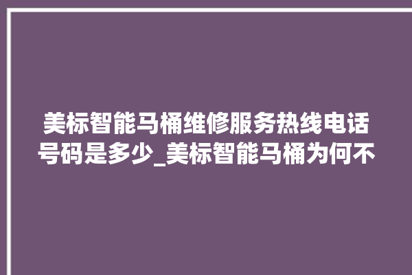 美标智能马桶维修服务热线电话号码是多少_美标智能马桶为何不蓄水 。马桶